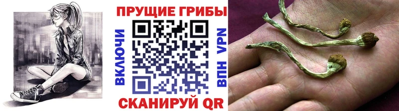 Псилоцибиновые грибы MAGIC MUSHROOMS  Игарка 
